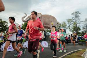 BIB: 
                            <button type="button" onclick="openModal(26528306)" class="btn btn-primary btn-sm float-right btn-popup" data-toggle="modal" data-target=".modal-high-quality">
                        <i class="fas fa-shopping-cart"></i> Add to Cart
                    </button>
                                            <button type="button" onclick="isThisMe(26528306, true)" class="btn btn-success btn-sm float-right btn-popup btn-isme hidden" data-toggle="tooltip" data-placement="bottom" title="นี่คือรูปของคุณใช่ไหม คลิกที่นี่เพื่อเอาเข้าอัลบั้ม">
                        <i class="fas fa-plus"></i> Add to album
                    </button>
                    <button type="button" onclick="isThisMe(26528306, false)" class="btn btn-warning btn-sm float-right btn-popup btn-isnotme hidden">
                        <i class="fas fa-ban"></i> Remove from album
                    </button>